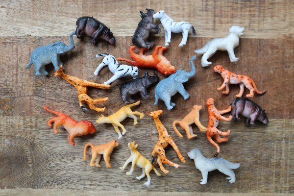 Jungle dieren Jungle dieren