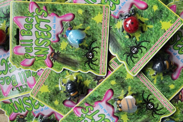 Pullback insect Pullback insect