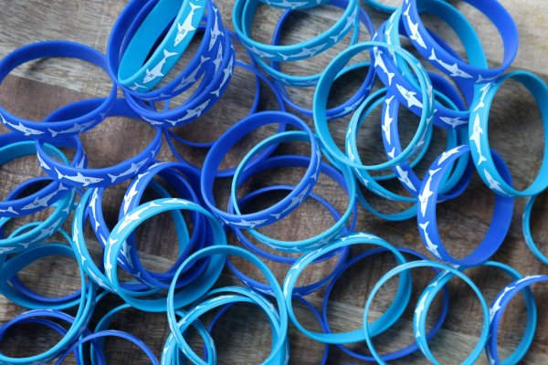 Armbandje haai Armbandje haai