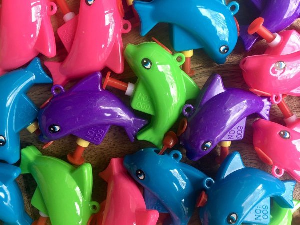 Traktatie dolfijn waterpistool (2)