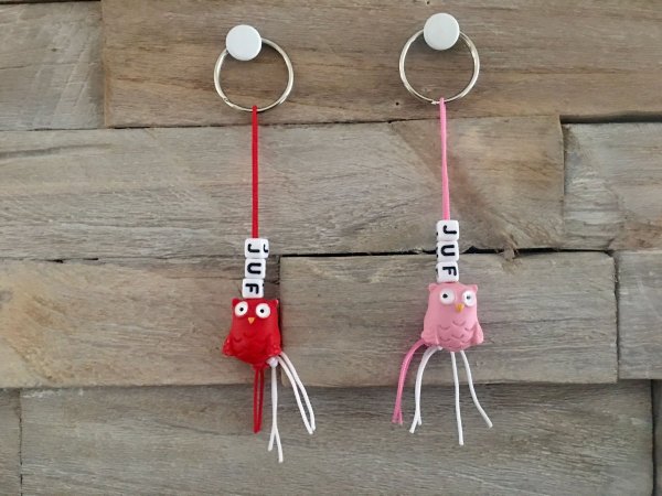 Sleutelhanger juf uiltjes Sleutelhanger juf uiltjes